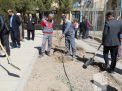 گزارش تصویری مراسم روز درختکاری